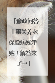 豫政问答丨事关养老保险病残津贴！解答来了→