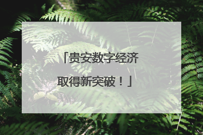 贵安数字经济取得新突破！