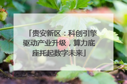 贵安新区：科创引擎驱动产业升级，算力底座托起数字未来