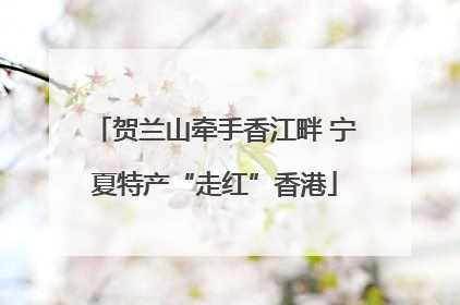 贺兰山牵手香江畔 宁夏特产“走红”香港