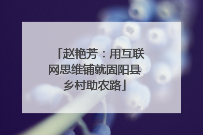 赵艳芳：用互联网思维铺就固阳县乡村助农路