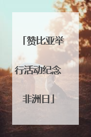 赞比亚举行活动纪念非洲日