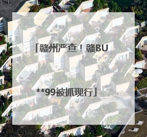 赣州严查！赣BU**99被抓现行