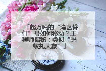 超万吨的“湾区伶仃”号如何移动？工程师揭秘：类似“蚂蚁托大象”