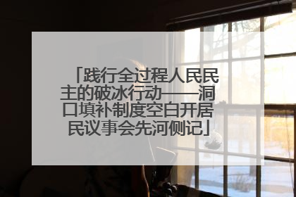 践行全过程人民民主的破冰行动——洞口填补制度空白开居民议事会先河侧记
