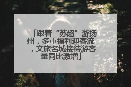跟着“苏超”游扬州，多重福利迎客流，文旅名城接待游客量同比激增