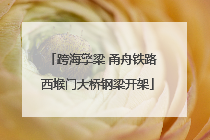 跨海擎梁 甬舟铁路西堠门大桥钢梁开架