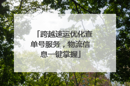 跨越速运优化查单号服务，物流信息一键掌握