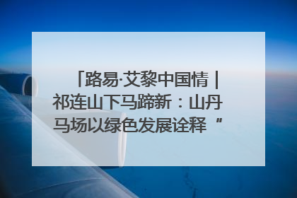 路易·艾黎中国情｜祁连山下马蹄新：山丹马场以绿色发展诠释“两山”理论实践