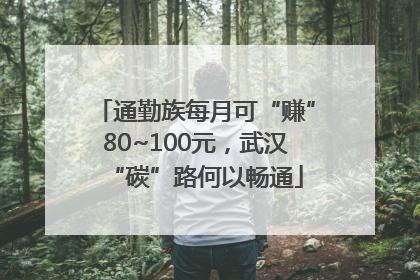 通勤族每月可“赚”80~100元，武汉“碳”路何以畅通