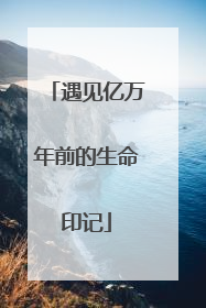 遇见亿万年前的生命印记