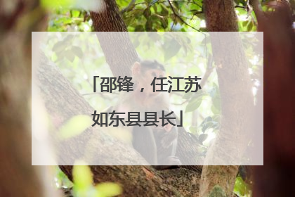 邵锋，任江苏如东县县长