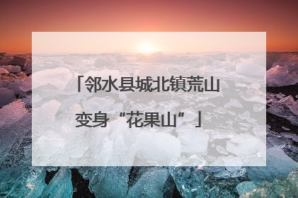 邻水县城北镇荒山变身“花果山”