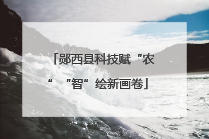 郧西县科技赋“农”“智”绘新画卷