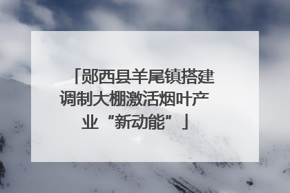 郧西县羊尾镇搭建调制大棚激活烟叶产业“新动能”