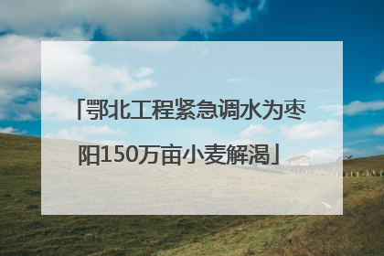 鄂北工程紧急调水为枣阳150万亩小麦解渴