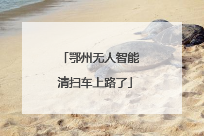 鄂州无人智能清扫车上路了