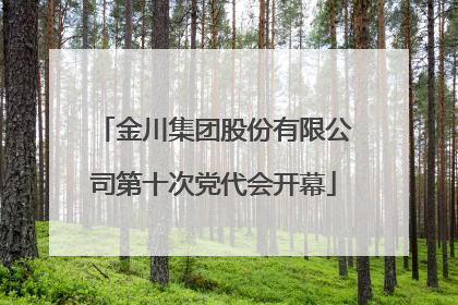 金川集团股份有限公司第十次党代会开幕