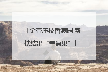 金杏压枝香满园 帮扶结出“幸福果”