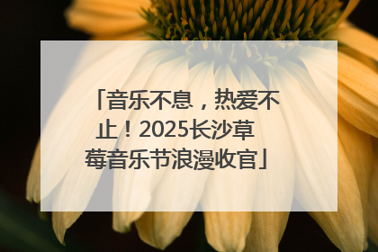 音乐不息，热爱不止！2025长沙草莓音乐节浪漫收官