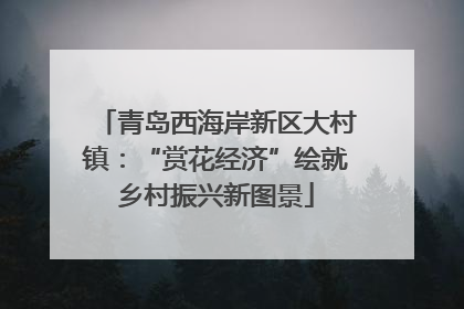 青岛西海岸新区大村镇：“赏花经济”绘就乡村振兴新图景