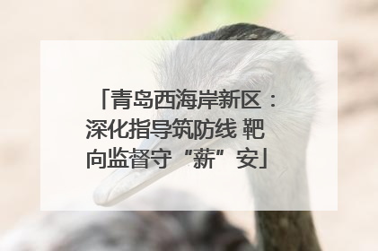 青岛西海岸新区：深化指导筑防线 靶向监督守“薪”安