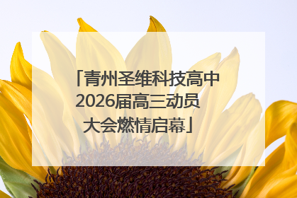 青州圣维科技高中2026届高三动员大会燃情启幕