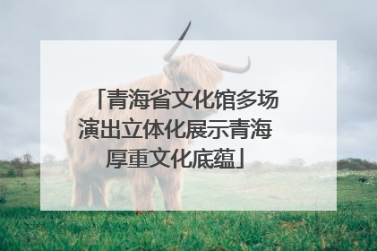 青海省文化馆多场演出立体化展示青海厚重文化底蕴