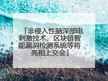 非侵入性脑深部电刺激技术、区块链智能漏洞检测系统等将亮相上交会