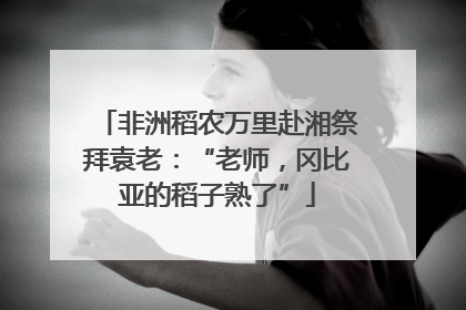 非洲稻农万里赴湘祭拜袁老：“老师，冈比亚的稻子熟了”