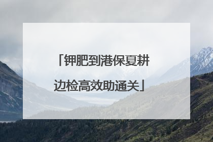钾肥到港保夏耕 边检高效助通关