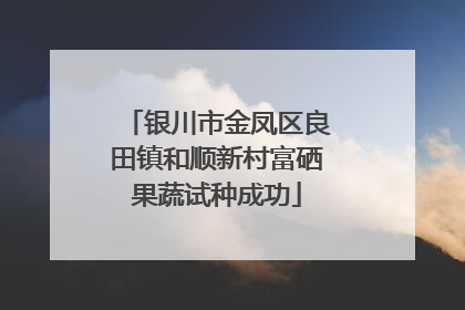 银川市金凤区良田镇和顺新村富硒果蔬试种成功
