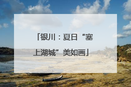 银川：夏日“塞上湖城”美如画