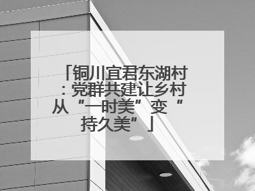 铜川宜君东湖村：党群共建让乡村从“一时美”变“持久美”