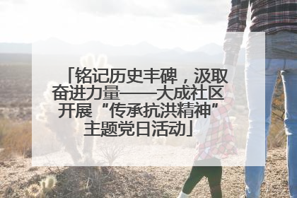 铭记历史丰碑，汲取奋进力量——大成社区开展“传承抗洪精神”主题党日活动