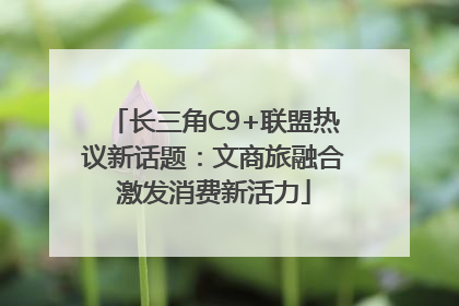 长三角C9+联盟热议新话题：文商旅融合激发消费新活力