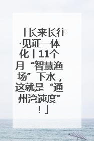 长来长往·见证一体化丨11个月“智慧渔场”下水，这就是“通州湾速度”！