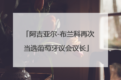 阿吉亚尔-布兰科再次当选葡萄牙议会议长