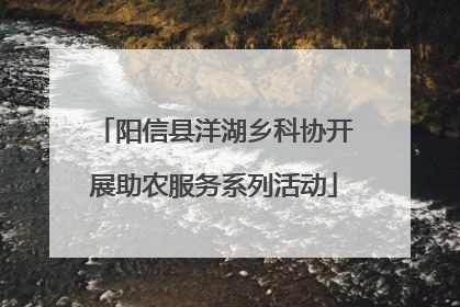 阳信县洋湖乡科协开展助农服务系列活动