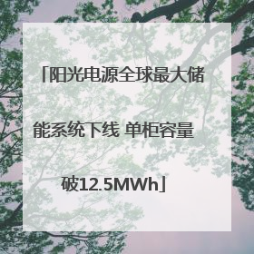 阳光电源全球最大储能系统下线 单柜容量破12.5MWh