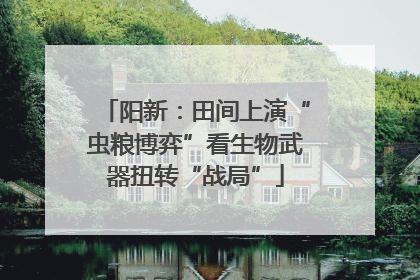 阳新：田间上演“虫粮博弈”看生物武器扭转“战局”