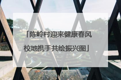 陈岭村迎来健康春风 校地携手共绘振兴图