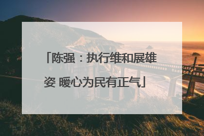 陈强：执行维和展雄姿 暖心为民有正气