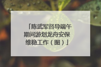 陈武军督导端午期间游划龙舟安保维稳工作（图）