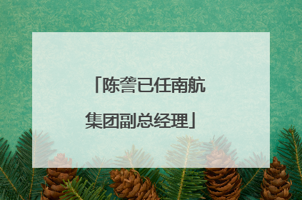 陈詟已任南航集团副总经理