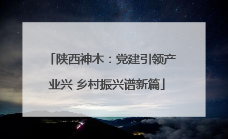 陕西神木：党建引领产业兴 乡村振兴谱新篇