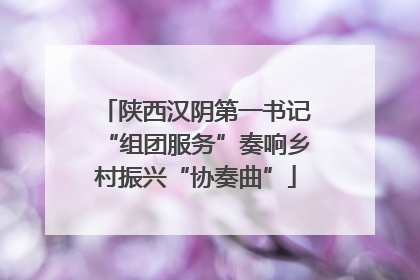 陕西汉阴第一书记“组团服务”奏响乡村振兴“协奏曲”