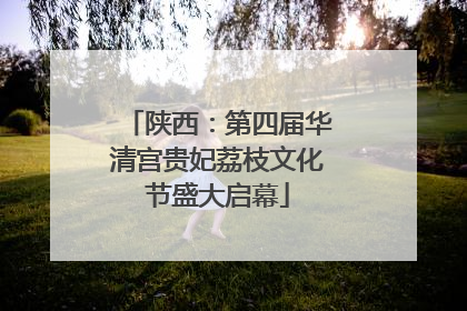 陕西：第四届华清宫贵妃荔枝文化节盛大启幕