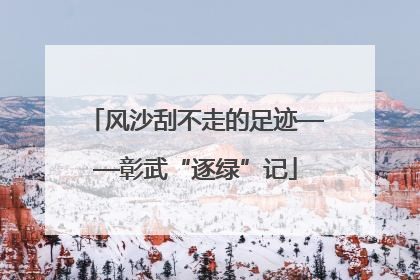 风沙刮不走的足迹——彰武“逐绿”记