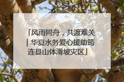 风雨同舟，共渡难关｜华夏水务爱心援助筠连县山体滑坡灾区